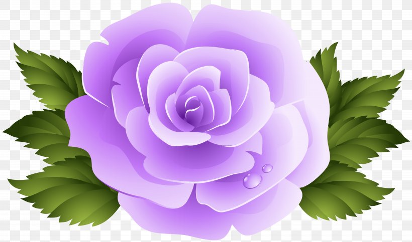 Rose Purple Violet Clip Art, PNG, 8000x4715px, Rose, Art, Blog, Flower, Flower Garden Download Free