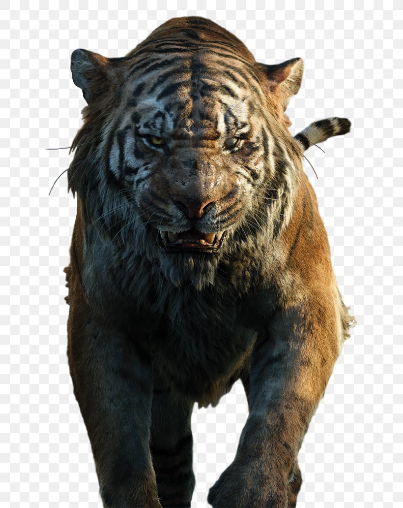 Shere Khan The Jungle Book Baloo Mowgli Bagheera, PNG, 700x1032px, Shere Khan, Akela, Bagheera, Baloo, Big Cats Download Free