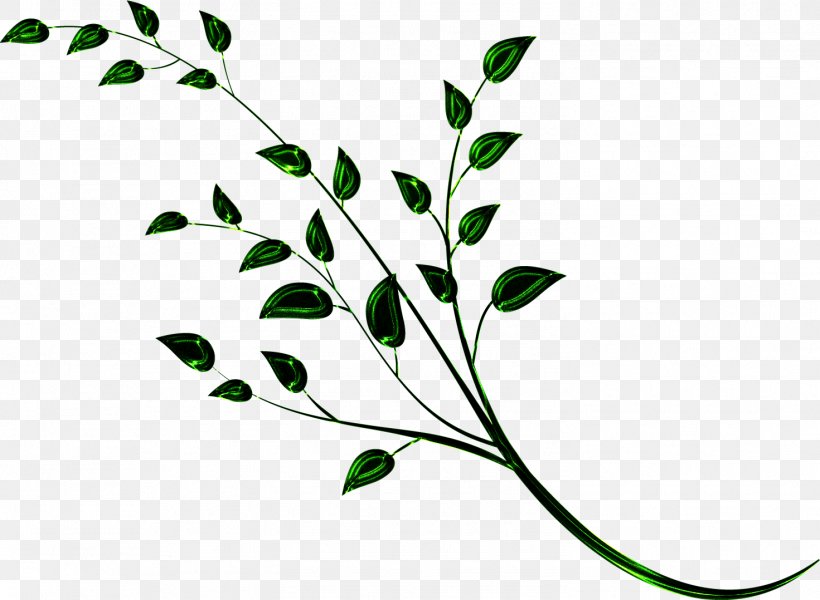 Branch Plant Stem Tree Twig Leaf, PNG, 1471x1078px, Branch, Flora, Flower, Grass, Leaf Download Free