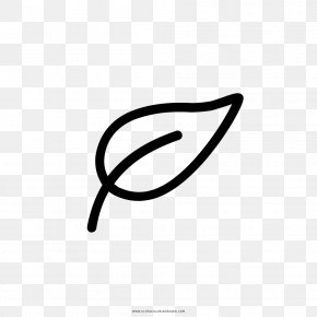 Folha - Coloring Book Drawing Black And White Ausmalbild Clip Art PNG