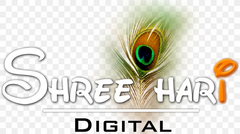 Shree Hari Digital | Shree Hari Editing Lab Logo Graphic Design Photography, PNG, 1831x1028px, Logo, Ahmedabad, Brand, Feather, Photo Shoot Download Free