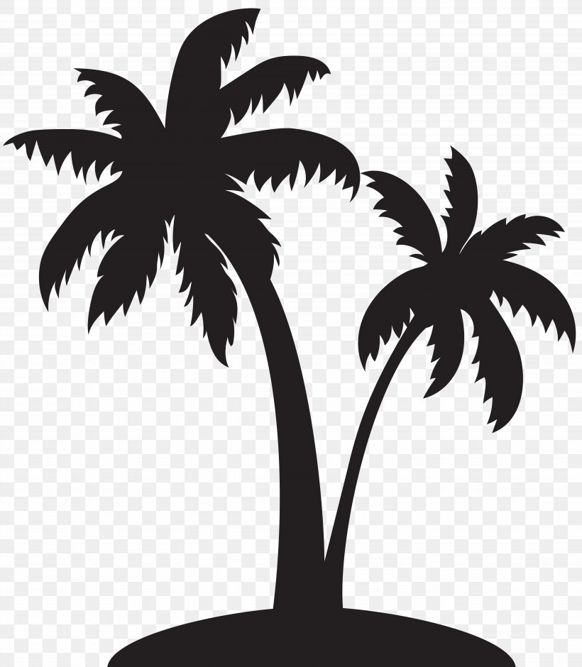 Arecaceae Silhouette Clip Art, PNG, 6972x8000px, Arecaceae, Arecales, Asian Palmyra Palm, Black And White, Branch Download Free