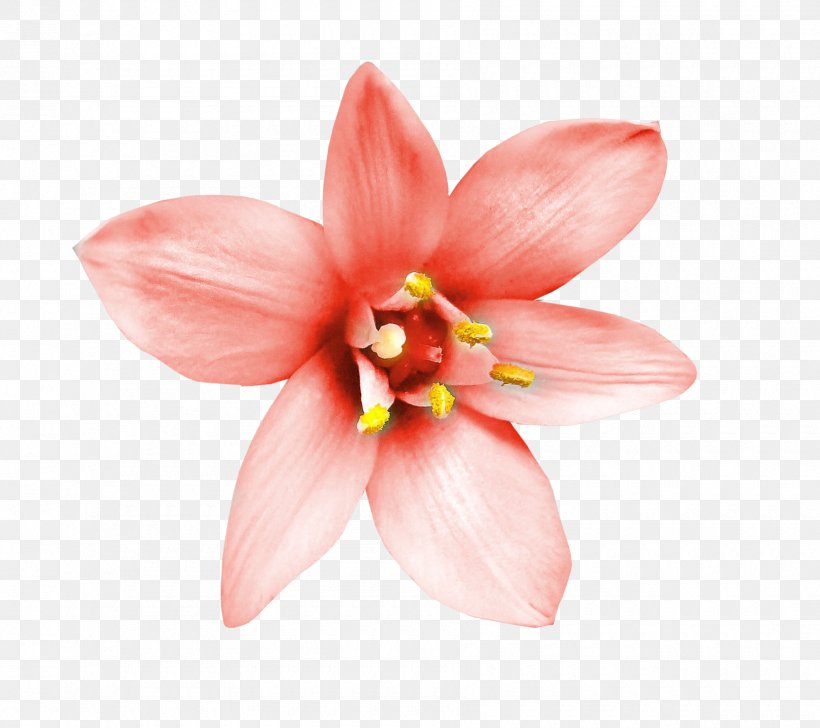 Flower Decorative Arts, PNG, 1800x1600px, Flower, Art, Bohochic, Cut Flowers, Data Compression Download Free