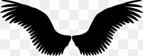 GIF Optical Illusion Image Mexico City PNG