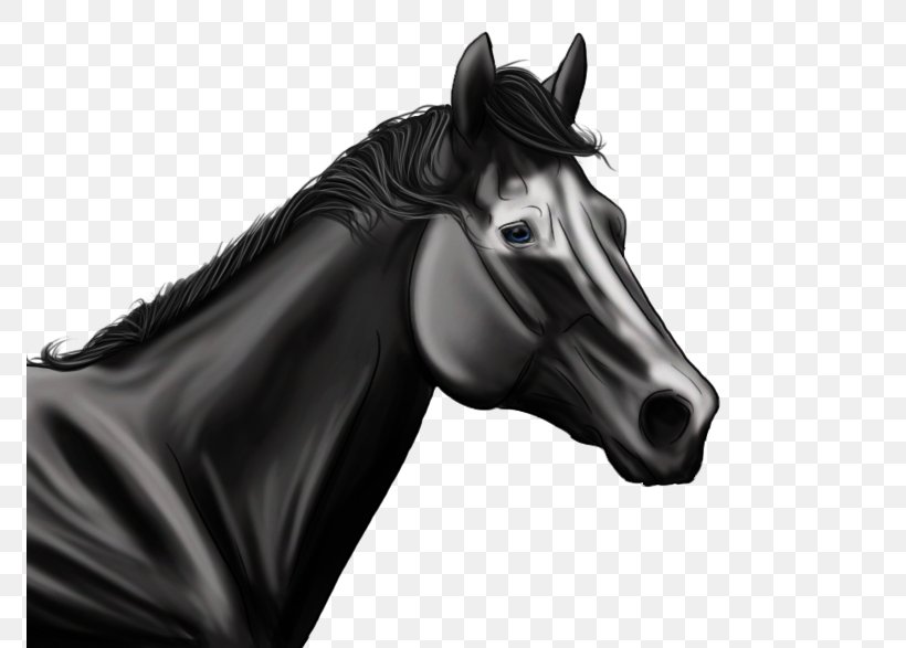 Halter Mustang Stallion Bridle Rein, PNG, 772x587px, Halter, Black, Black And White, Bridle, Horse Download Free