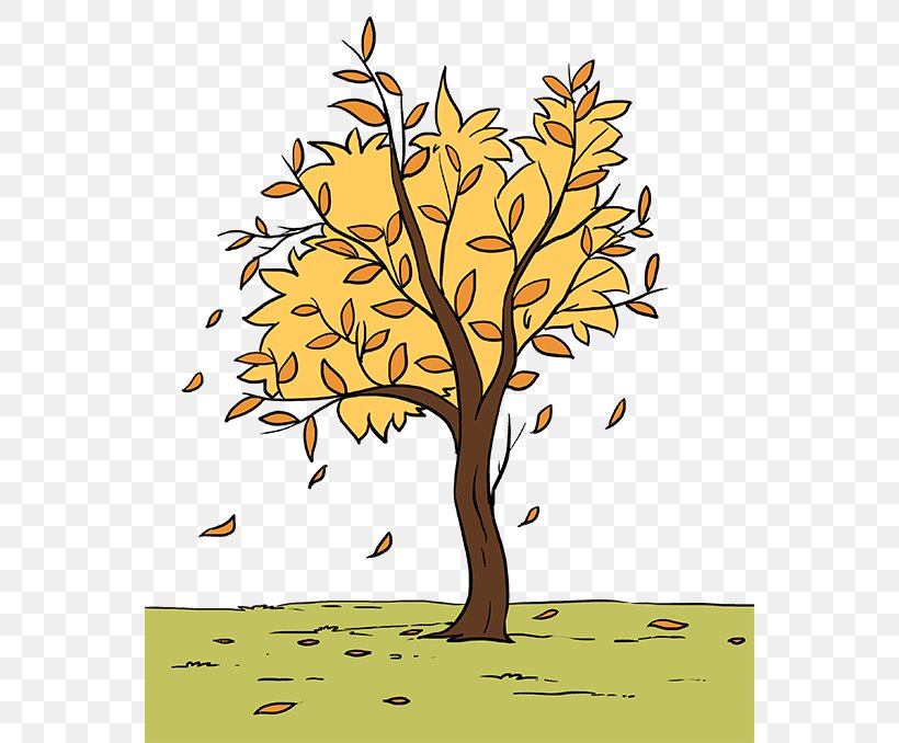 Tree Trunk Drawing, PNG, 680x678px, Drawing, Autumn, Branch, Cartoon, Deciduous Download Free