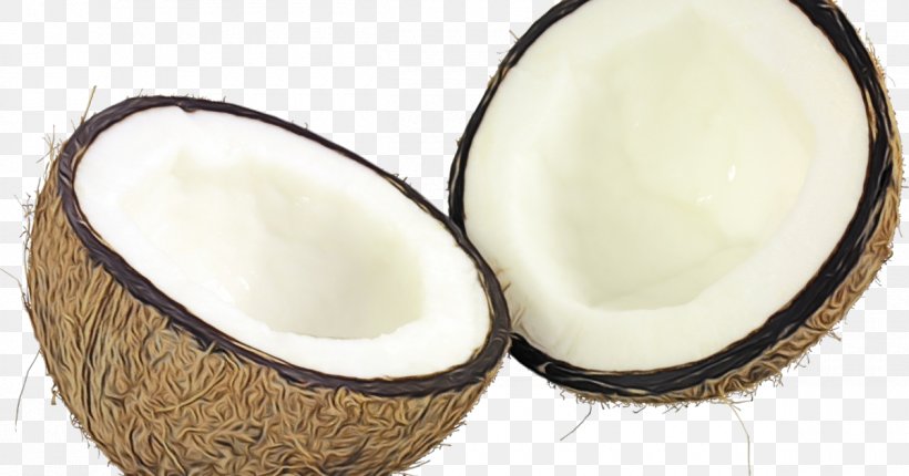 Web Design, PNG, 1200x630px, Coconut, Coconut Bar, Coconut Milk, Coconut Oil, Coconut Water Download Free