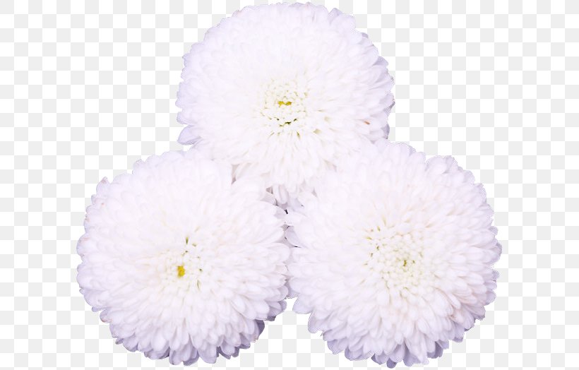 Chrysanthemum Flower Petal Wedding Dress Floral Design, PNG, 608x524px, Chrysanthemum, Aster, Chrysanths, Cut Flowers, Daisy Family Download Free