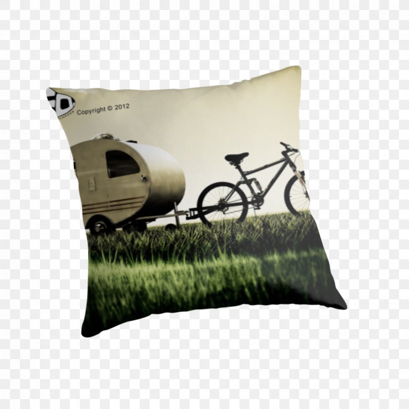 Cushion Throw Pillows, PNG, 875x875px, Cushion, Grass, Pillow, Throw Pillow, Throw Pillows Download Free