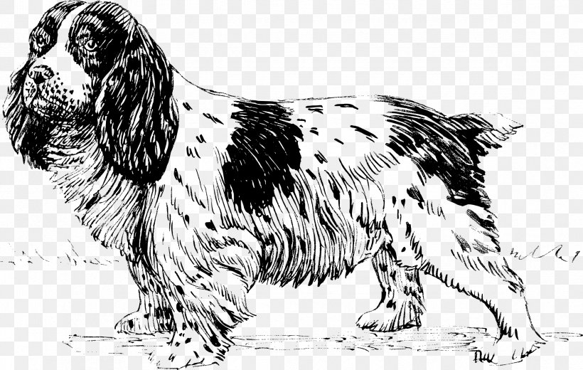 English Cocker Spaniel Japanese Chin Brittany Dog Drawing Clip Art, PNG, 2372x1506px, English Cocker Spaniel, Animal, Art, Black And White, Brittany Dog Download Free