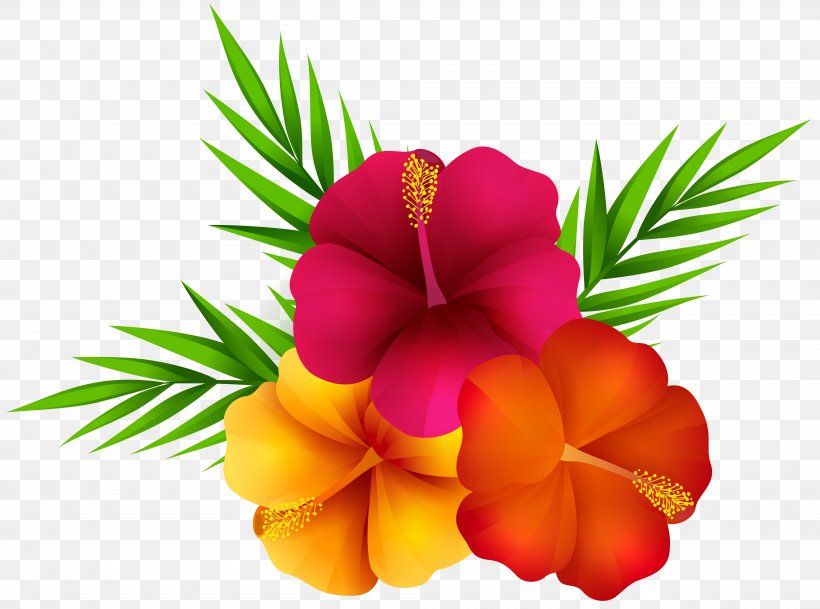 Flower Clip Art, PNG, 8000x5943px, Hawaii, Aloha, Bijou, Bracelet, Charms Pendants Download Free