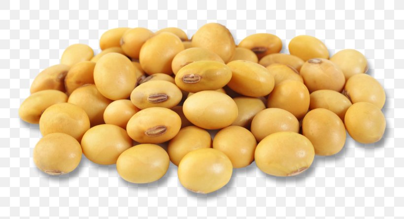 Soybean Chickpea Vegetarian Cuisine Legume Seed, PNG, 800x445px, Soybean, Adzuki Bean, Bean, Chickpea, Commodity Download Free