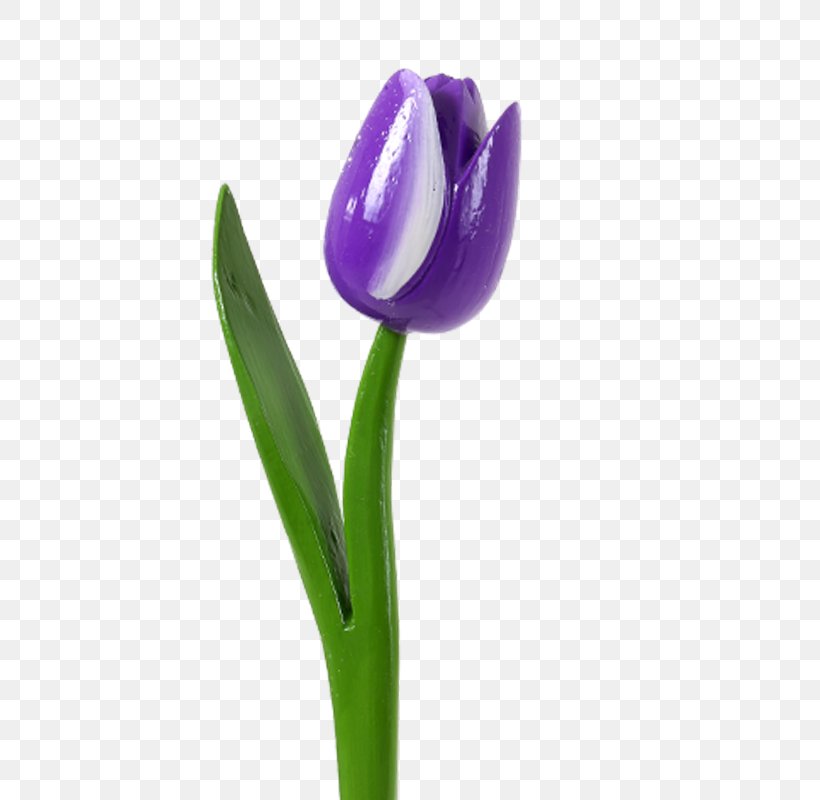 Tulip Flower Plant Stem Purple Delftware, PNG, 800x800px, Tulip, Bag, Blue, Bud, Delftware Download Free