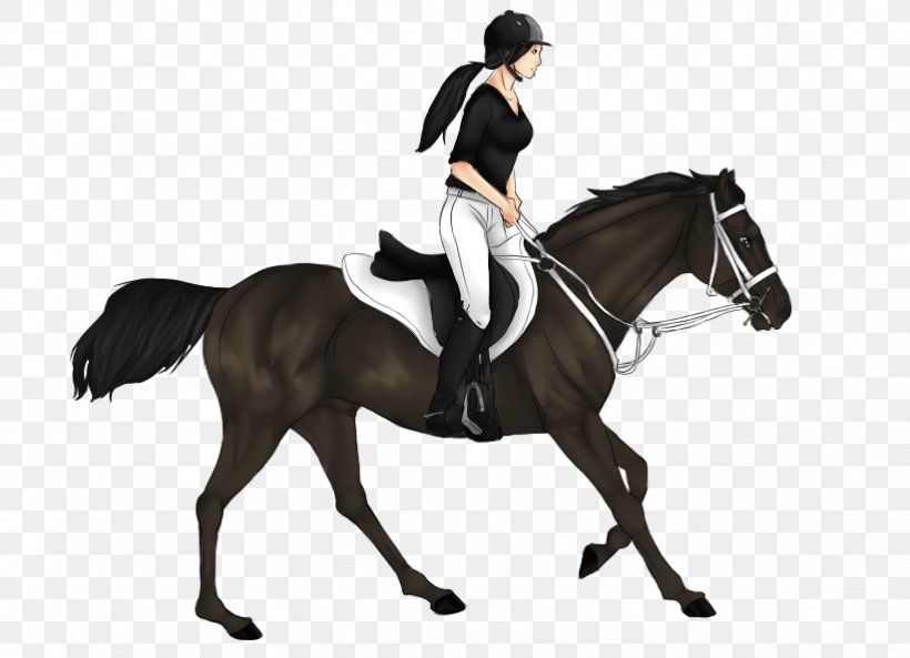 Dressage Stallion Mustang Hunt Seat Rein, PNG, 822x595px, 2019 Ford Mustang, Dressage, Animal Sports, Animal Training, Bridle Download Free
