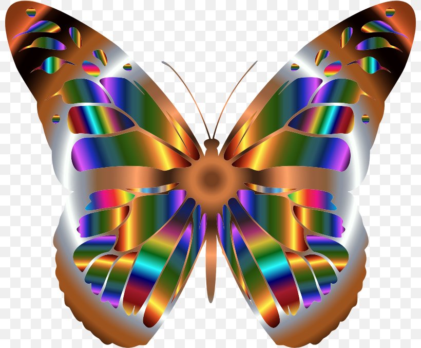 Monarch Butterfly Iridescence Clip Art, PNG, 800x677px, Butterfly, Brush Footed Butterfly, Butterflies And Moths, Color, Greta Oto Download Free