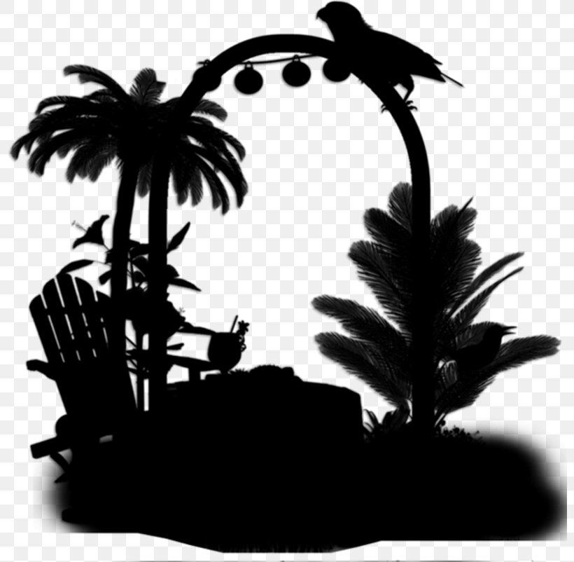 Palm Trees Silhouette, PNG, 800x802px, Palm Trees, Arecales, Blackandwhite, Palm Tree, Plant Download Free