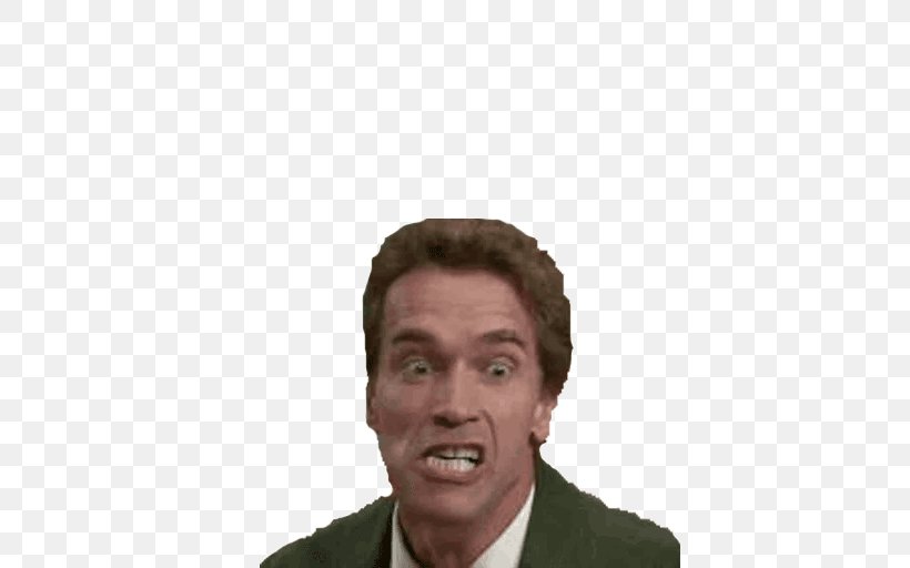 Arnold Schwarzenegger Kindergarten Cop Detective John Kimble Animation, PNG, 512x512px, Arnold Schwarzenegger, Animation, Chin, Coub, Elder Download Free