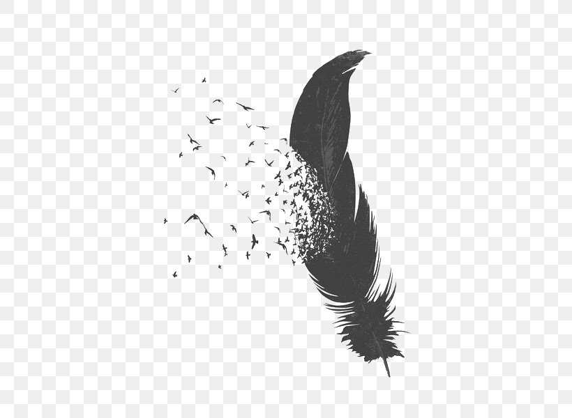 Bird Feather Drawing, PNG, 436x600px, Bird, Art, Beak, Black And White, Color Download Free
