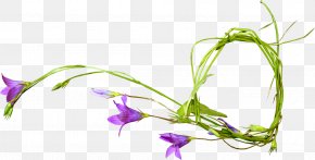 Flower - Cut Flowers Floral Design Clip Art PNG
