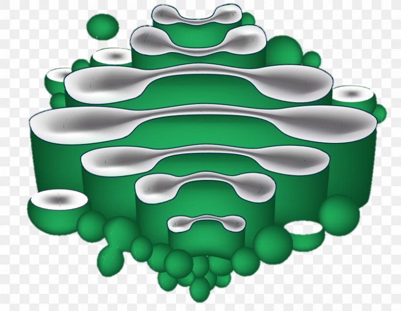 The Golgi Apparatus Cell Diagram Endoplasmic Reticulum, PNG, 850x659px, Golgi Apparatus, Animation, Camillo Golgi, Cell, Cell Nucleus Download Free