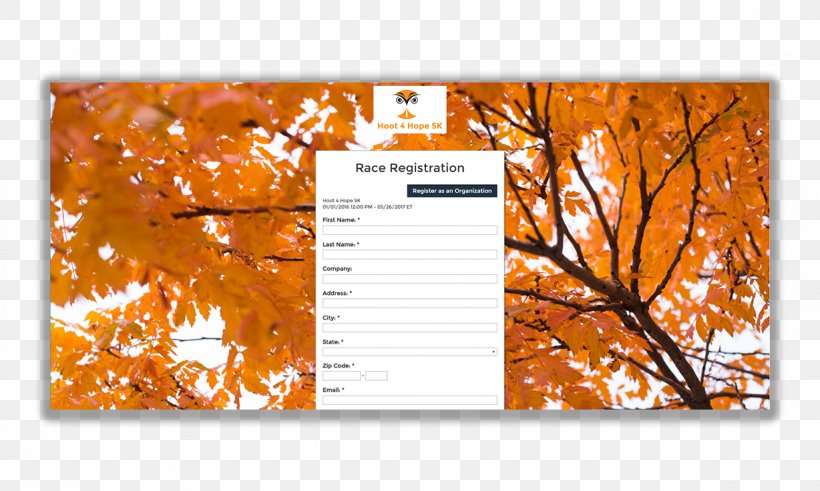 Autumn Leaf Color Desktop Wallpaper Winter, PNG, 1228x736px, Autumn Leaf Color, Autumn, Branch, Daytime, Leaf Download Free