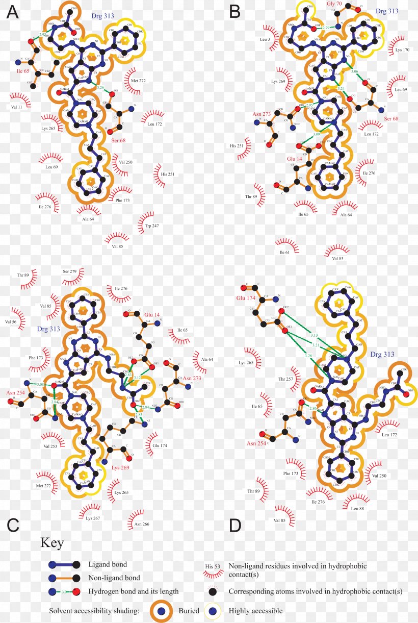 Illustration Graphic Design Glucose Oxidase Pattern, PNG, 2258x3363px, Oxidase, Glucose, Organism, Point, Structure Download Free