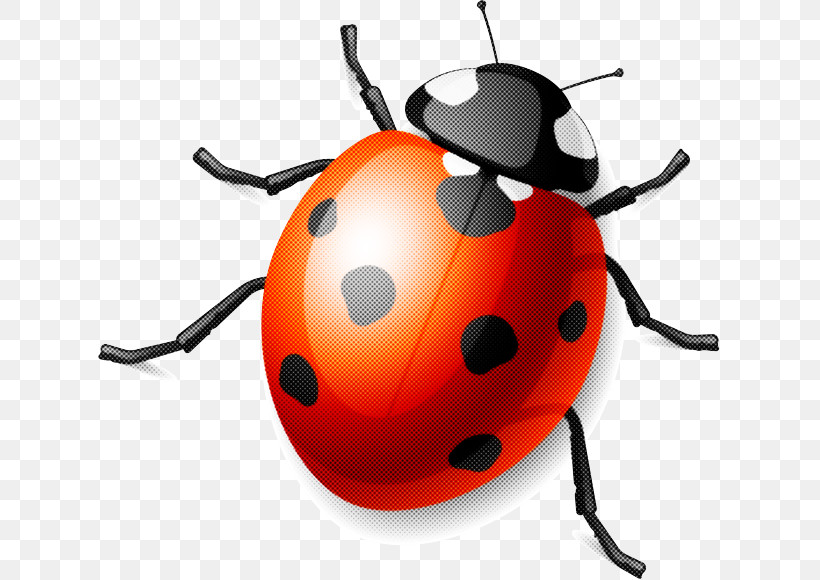 Ladybug, PNG, 623x580px, Insect, Beetle, Ladybug, Leaf Beetle Download Free