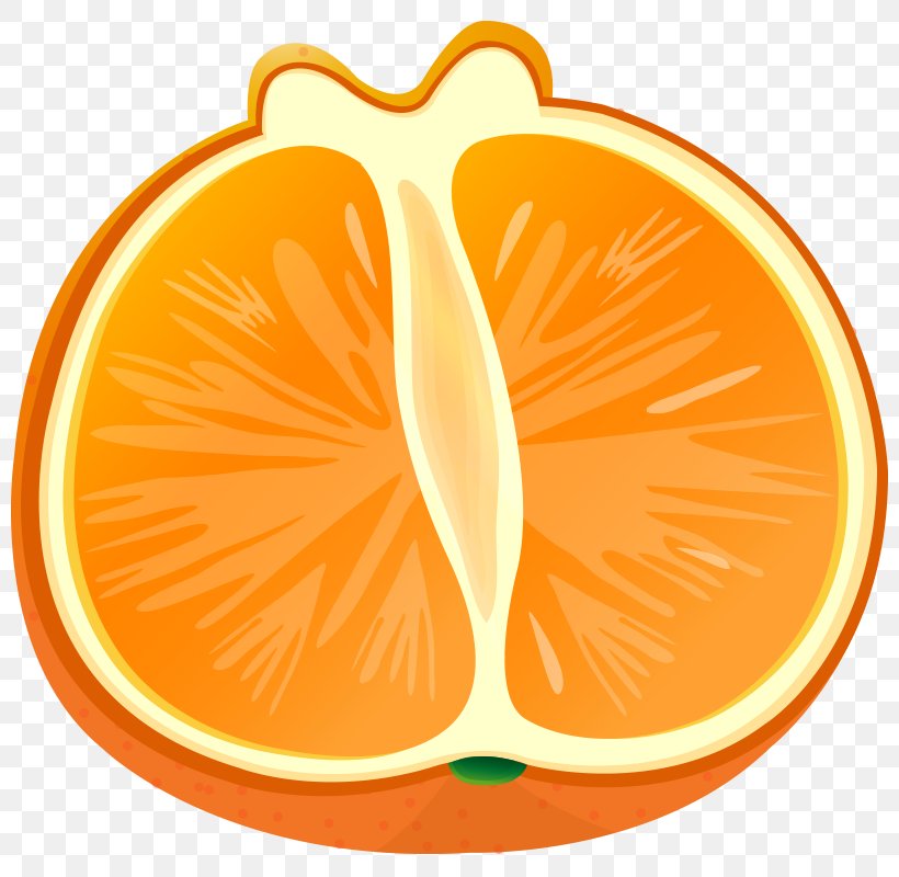 Orange Vegetable Grapefruit Clip Art, PNG, 800x800px, Orange, Auglis, Citrus Junos, Food, Fruit Download Free