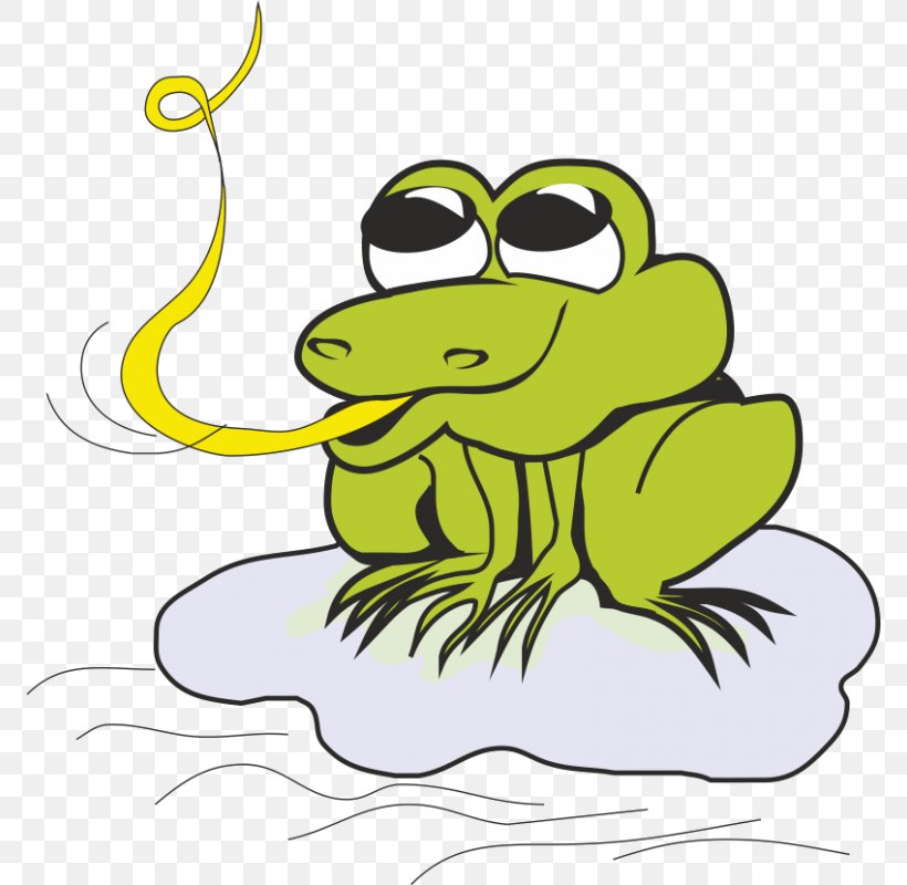 Frog Drawing Cartoon Clip Art, PNG, 800x800px, Frog, Amphibian, Area, Art, Artwork Download Free
