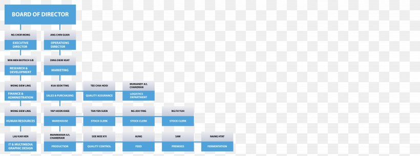 Organizational Chart Organizational Structure Corporation Company, PNG, 4333x1608px, Organizational Chart, Biotechnology, Blue, Brand, Chart Download Free