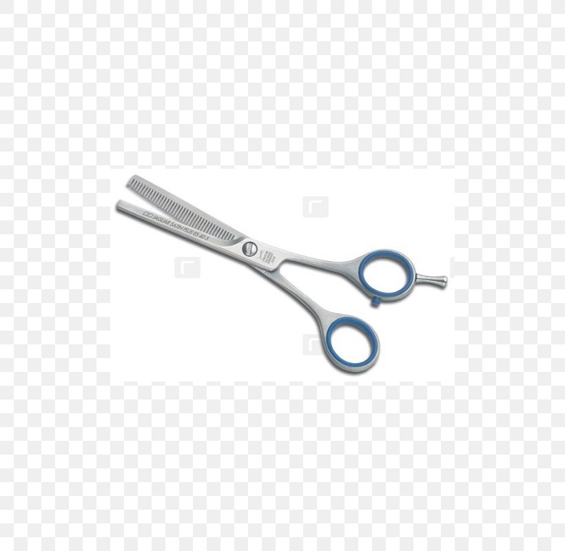 Thinning Scissors Hair-cutting Shears Cosmetologist Plastic, PNG, 800x800px, Scissors, Barber, Beauty, Beauty Parlour, Blade Download Free