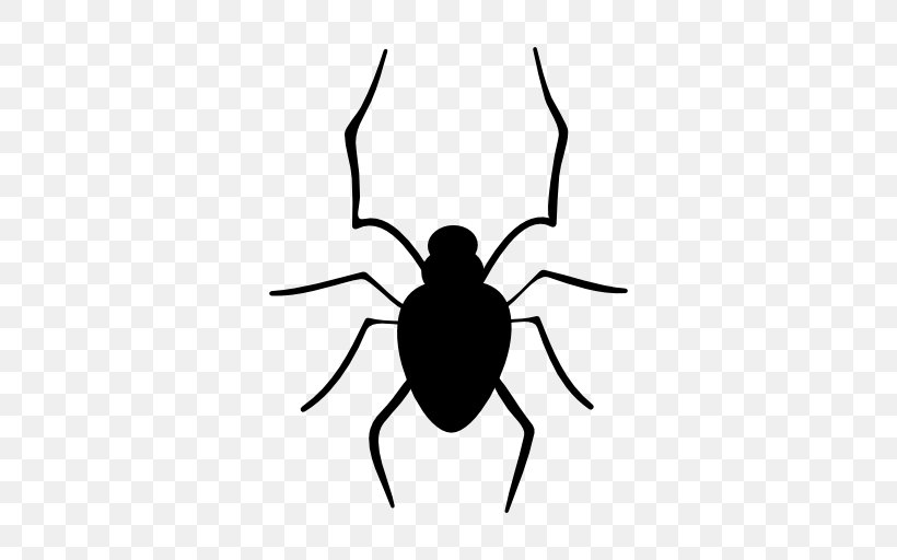 Spider Halloween Drawing, PNG, 512x512px, Spider, Arachnid, Arthropod, Artwork, Black And White Download Free