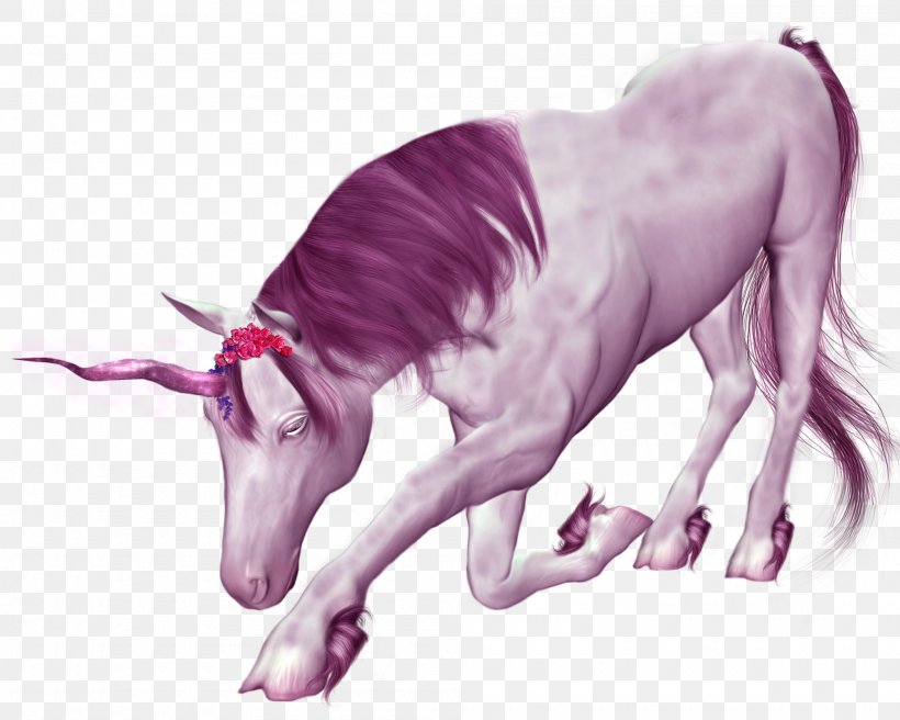 Unicorn Purple, PNG, 2000x1600px, Unicorn, Chinese Dragon, Fictional Character, Horse, Horse Like Mammal Download Free