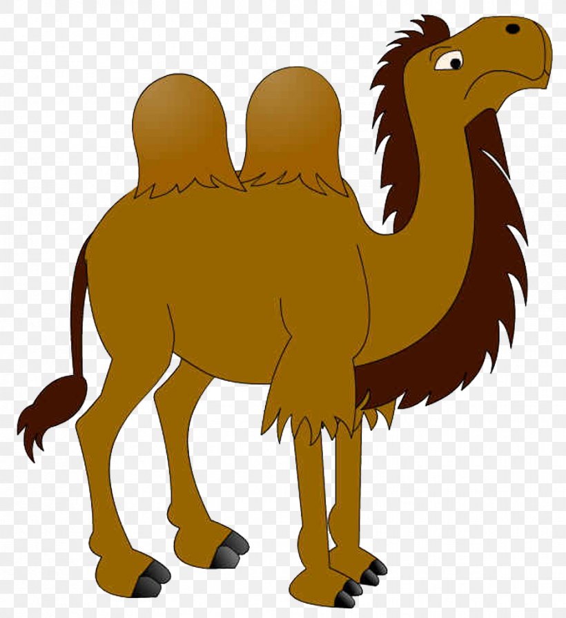 Dromedary Cartoon, PNG, 931x1017px, Dromedary, Arabian Camel, Art, Beak, Camel Download Free