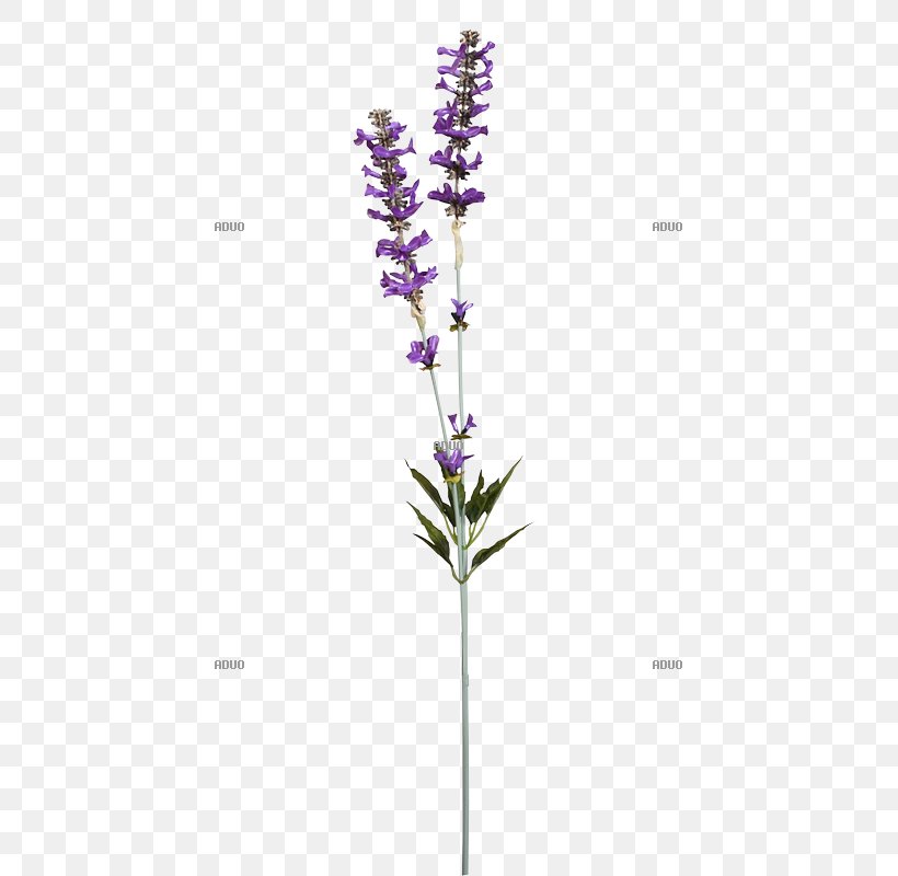 English Lavender Twig Branch Artificial Flower Shrub, PNG, 800x800px, English Lavender, Artificial Flower, Branch, Centimeter, Color Download Free