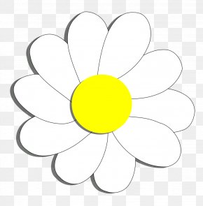 Daisy Flower Cliparts - Flower Common Daisy Coloring Book Clip Art PNG