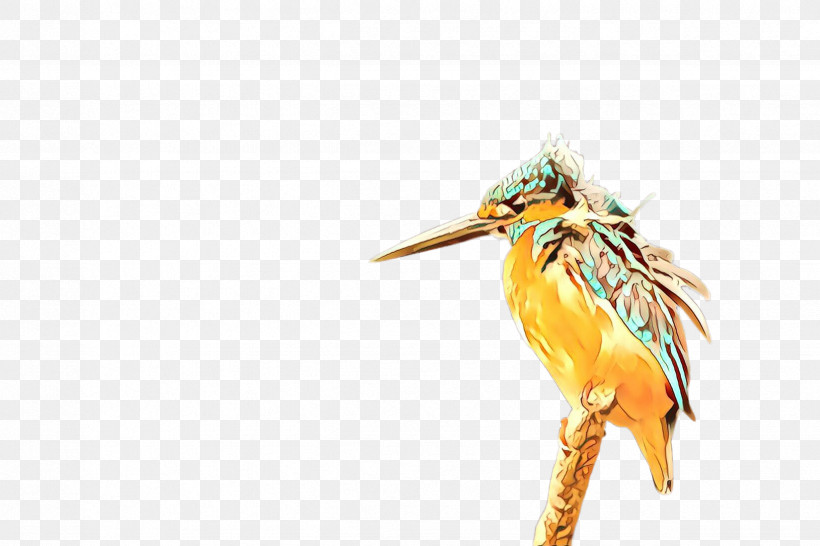 Bird Yellow Beak Coraciiformes Wildlife, PNG, 2448x1632px, Bird, Beak, Coraciiformes, Wildlife, Wing Download Free