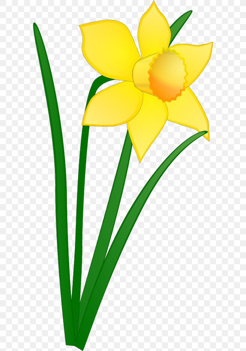 Daffodil Free Content Drawing Clip Art, PNG, 600x1169px, Daffodil, Artwork, Blog, Cut Flowers, Drawing Download Free