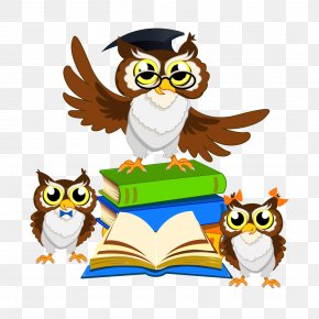 A Lecture Owl - Owl Royalty-free Clip Art PNG