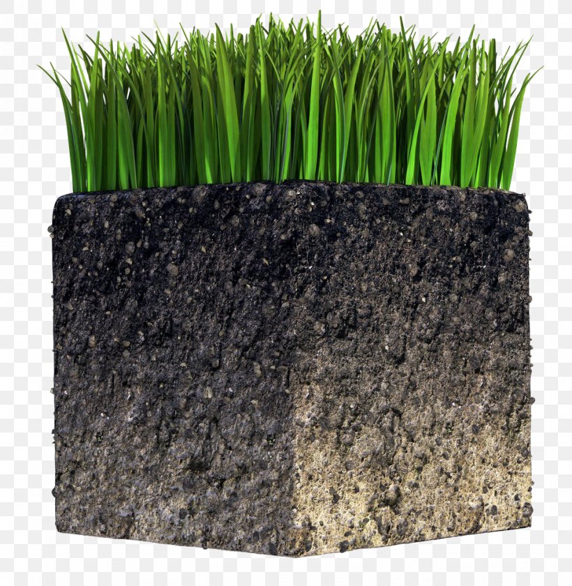 Soil Stock Photography Royalty-free Natural Environment, PNG, 976x1000px, Soil, Blue, Flowerpot, Grass, Grass Family Download Free