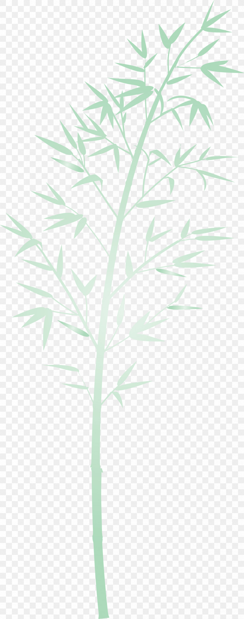 Bamboo Leaf, PNG, 1185x3000px, Bamboo, Branch, Flower, Grass, Leaf Download Free