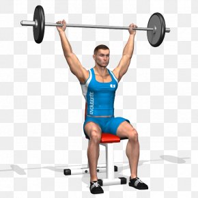 Barbell - Barbell Weight Training Physical Exercise Overhead Press Strength Training PNG