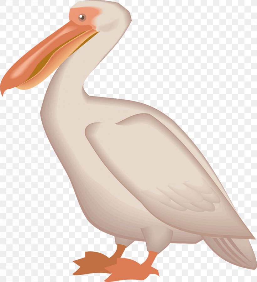 Brown Pelican Bird Clip Art, PNG, 1166x1280px, Brown Pelican, Beak, Bird, Display Resolution, Ducks Geese And Swans Download Free