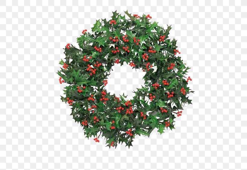 Christmas Card Wreath Santa Claus Environmentally Friendly, PNG, 800x564px, Christmas, Aquifoliaceae, Aquifoliales, Christmas And Holiday Season, Christmas Decoration Download Free