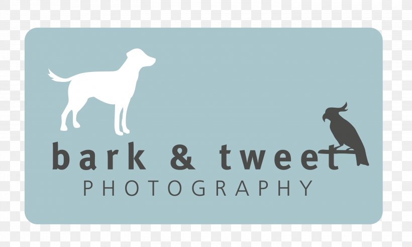 Dog Logo Brand Font, PNG, 3000x1800px, Dog, Brand, Carnivoran, Dog Like Mammal, Logo Download Free