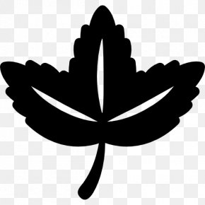 Leaf - Leaf Flowering Plant Tree Clip Art PNG