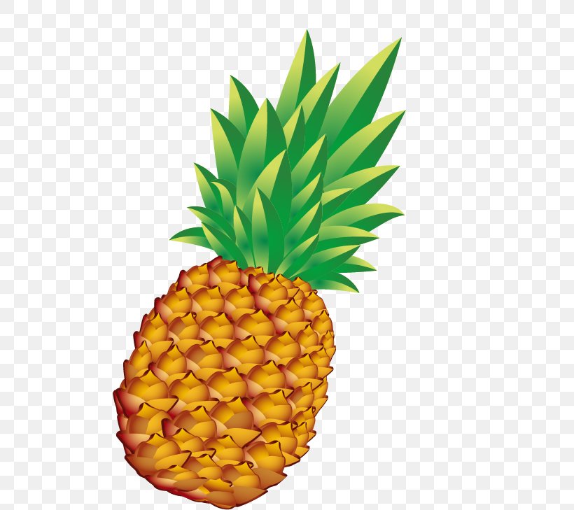 Pineapple Bun Euclidean Vector, PNG, 591x729px, Pineapple, Alimento Saludable, Ananas, Bromeliaceae, Drawing Download Free