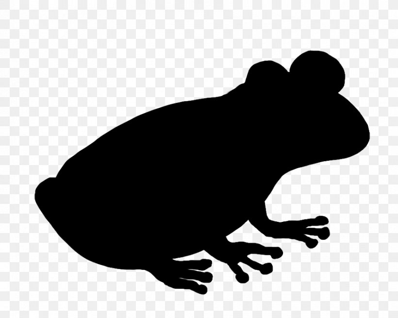 Clip Art Carnivores Fauna Silhouette Snout, PNG, 886x708px, Carnivores, Amphibian, Bufo, Fauna, Frog Download Free