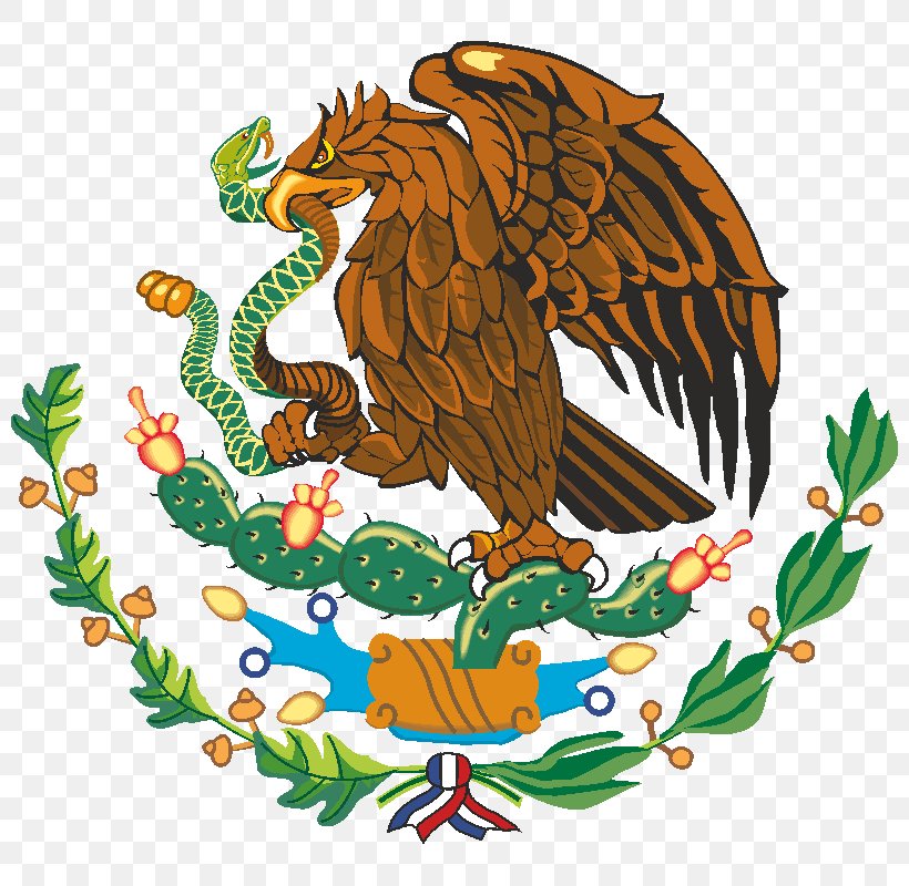 Coat Of Arms Of Mexico Flag Of Mexico National Symbol Aztec Empire, PNG, 800x800px, Mexico, Art, Aztec, Aztec Empire, Beak Download Free