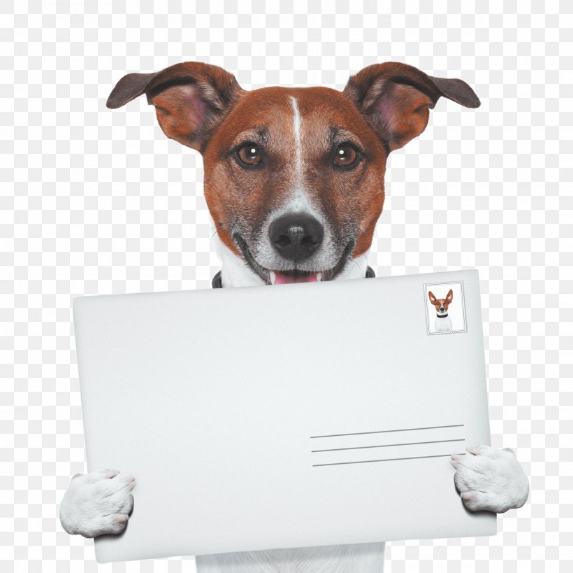 Dog Walking Pet Sitting Puppy, PNG, 1600x1600px, Dog, Animal, Animal Rescue Group, Companion Dog, Dog Breed Download Free